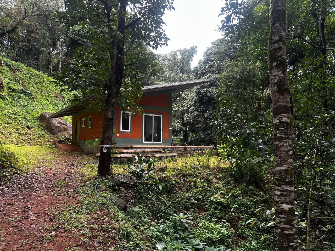 🌿 8 Acre Plantation Land for Sale in Chikkamgaluru